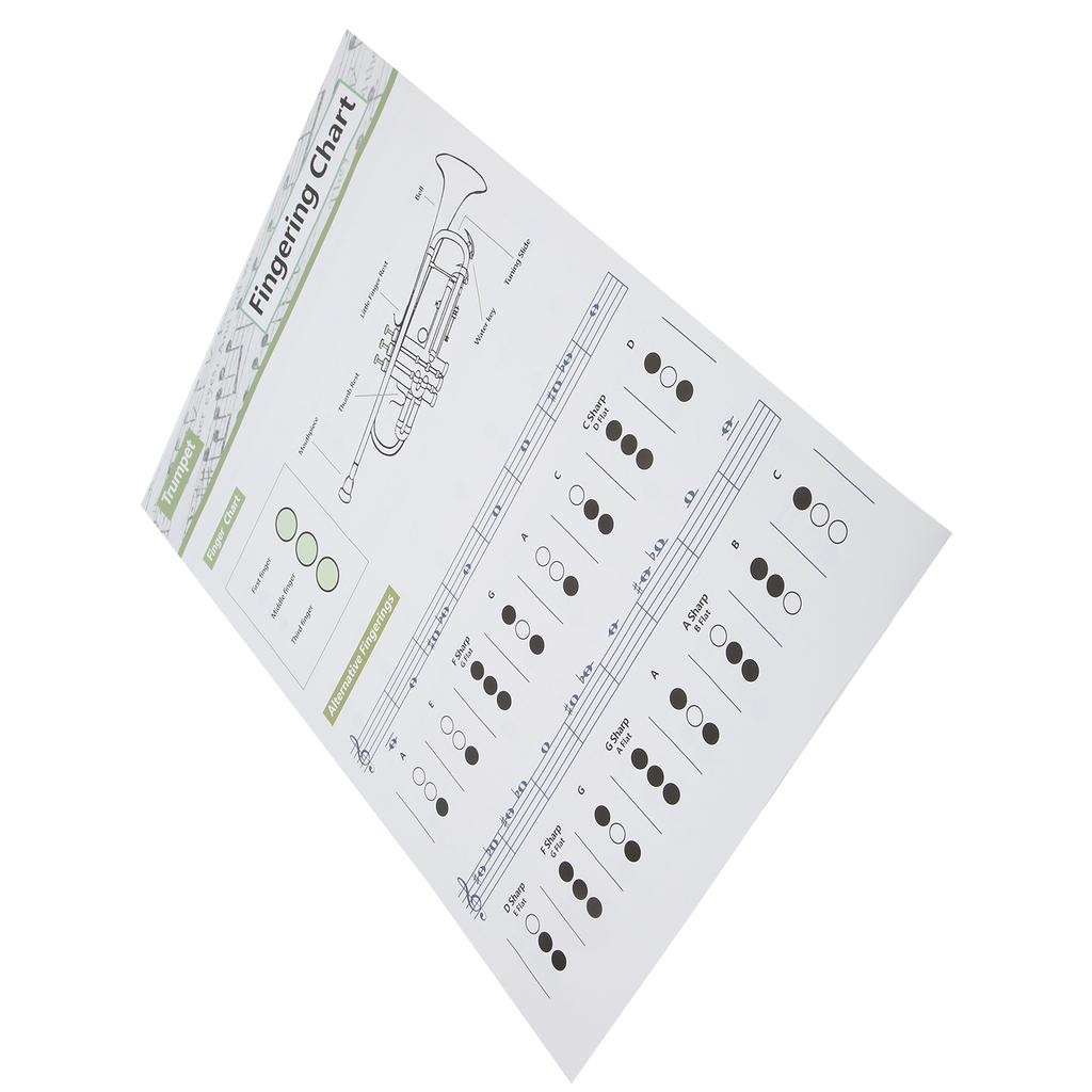 Таблица аккордов для трубы. Аппликатура нот. Справочное руководство по музыкальным инструментам для домашнего обучения.