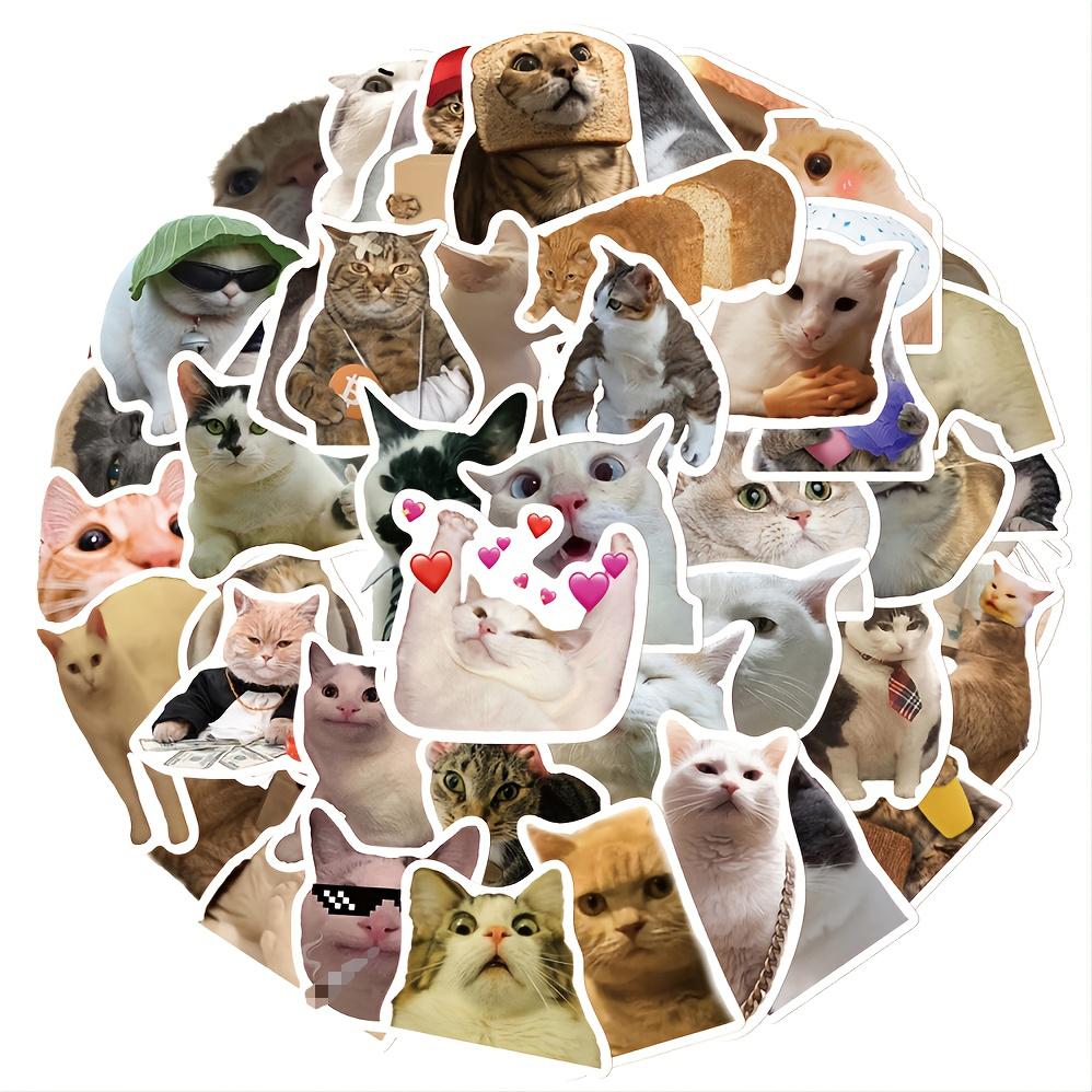 50 Funny Funny Cat Waterproof Doodle Decorative Reusable Stickers For Birthday Christmas Gifts