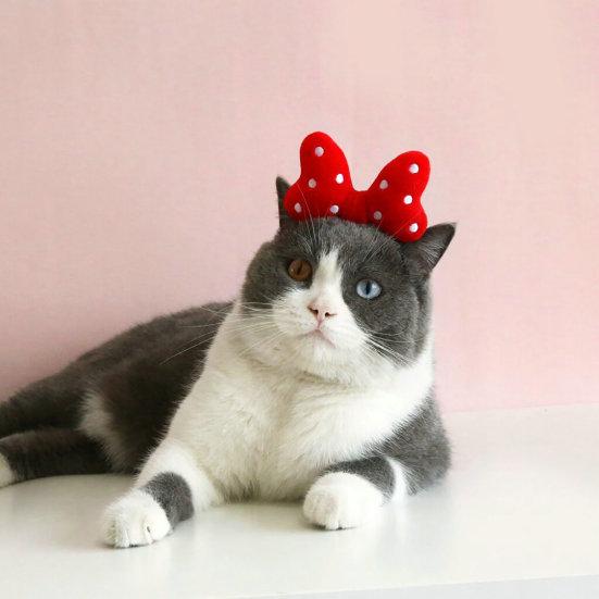 Повязка на голову для питомца, контрастного цвета, с большим бантом, в горошек, эластичная, противоскользящая, для нарядного вида