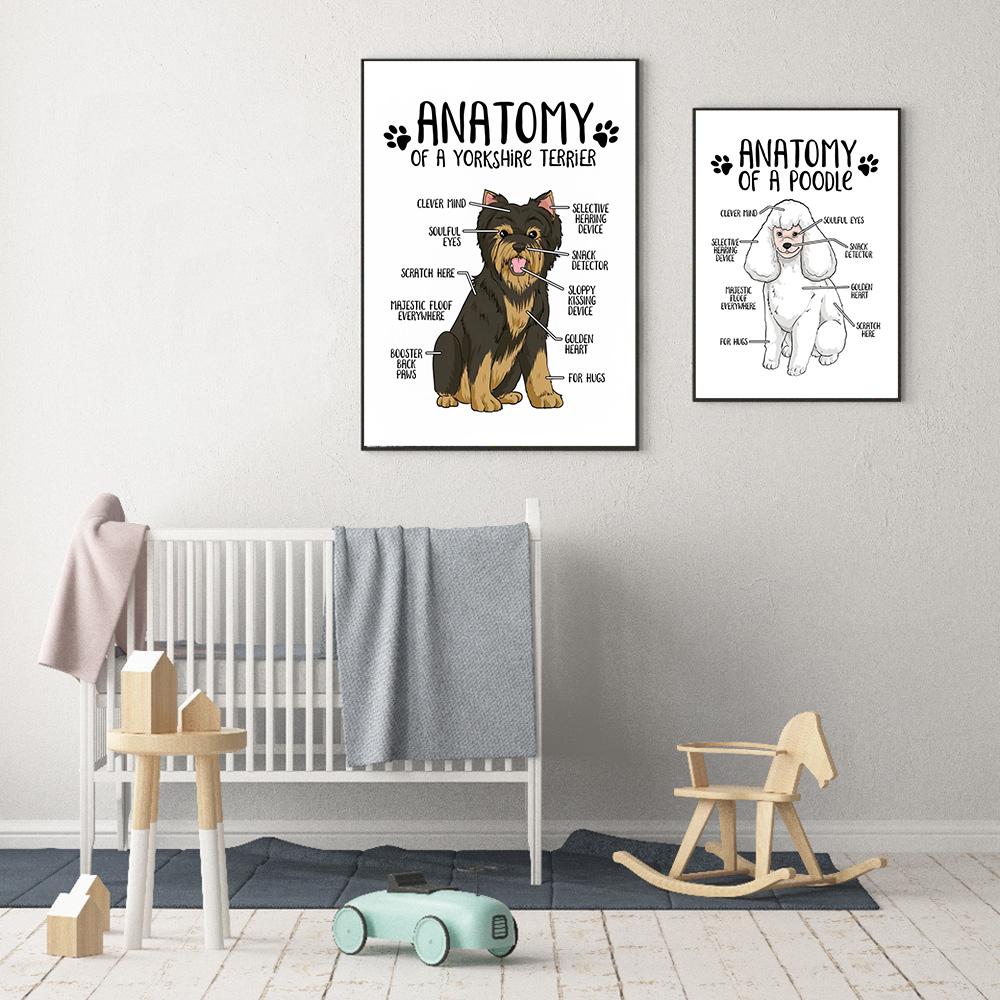 Холст с анатомией животных, постер, бордер-колли, йоркширский терьер, принт, современный зоомагазин, стена больницы