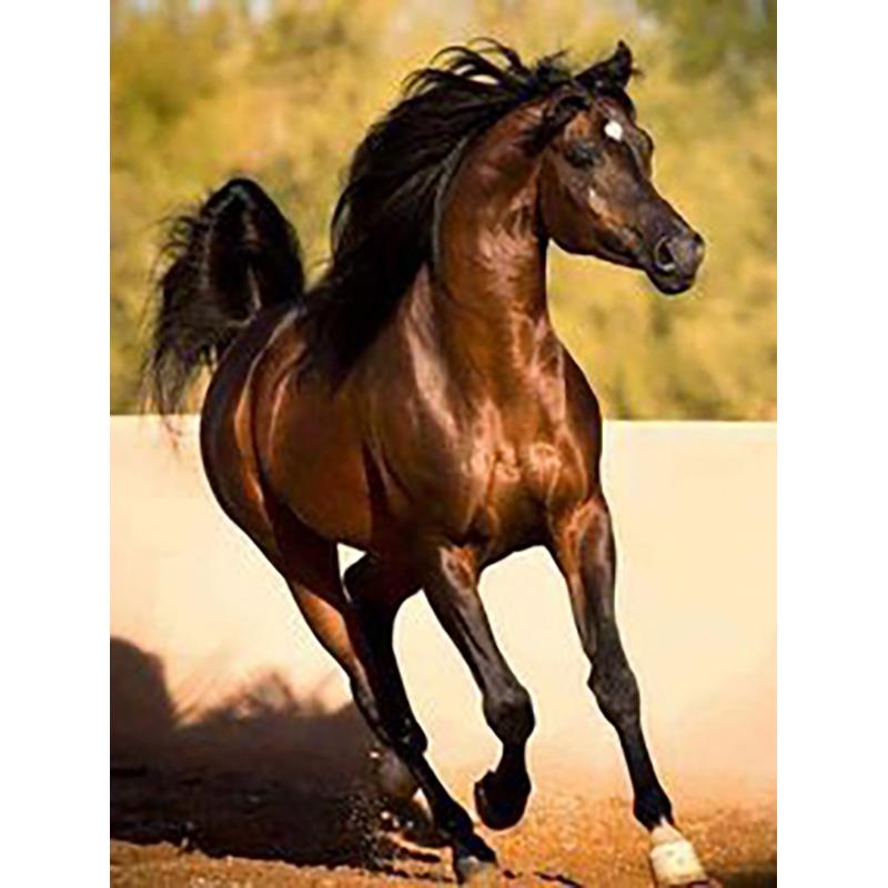 DIY Лошадь 5D алмазная живопись полная круглая дрель животное Алмазная вышивка наборы крестиков мозаика из бисера украшение дома подарок