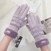 Plush Down Cotton Gloves New Winter Fleece Cold Weather Gloves Cotton Thickened Warm Women's Gloves Touch Screen Ski Gloves