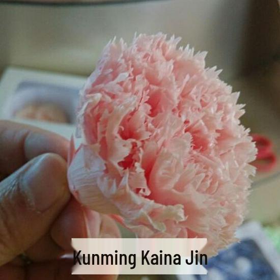 Preserved Yunnan Carnation Flowers – Perfect Mother’s Day and Birthday Gift