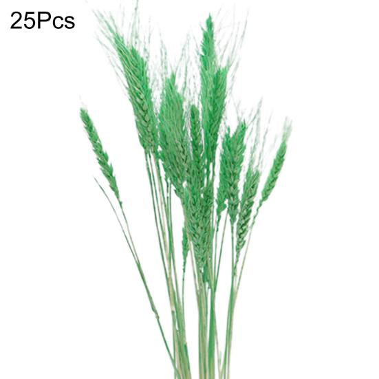 Практичная сушеная овсяная трава, яркая, не требует воды, деревенский стиль