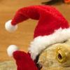 1 Set Reptile Hats with Scarf Holiday Dress Up Soft Christmas Lizard Santa Hat for Amphibians