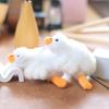 Cute Cute Big White Goose Pendant Plush Toy Doll Big Goose Bag Hanging Ornament Keychain Rag Doll Doll