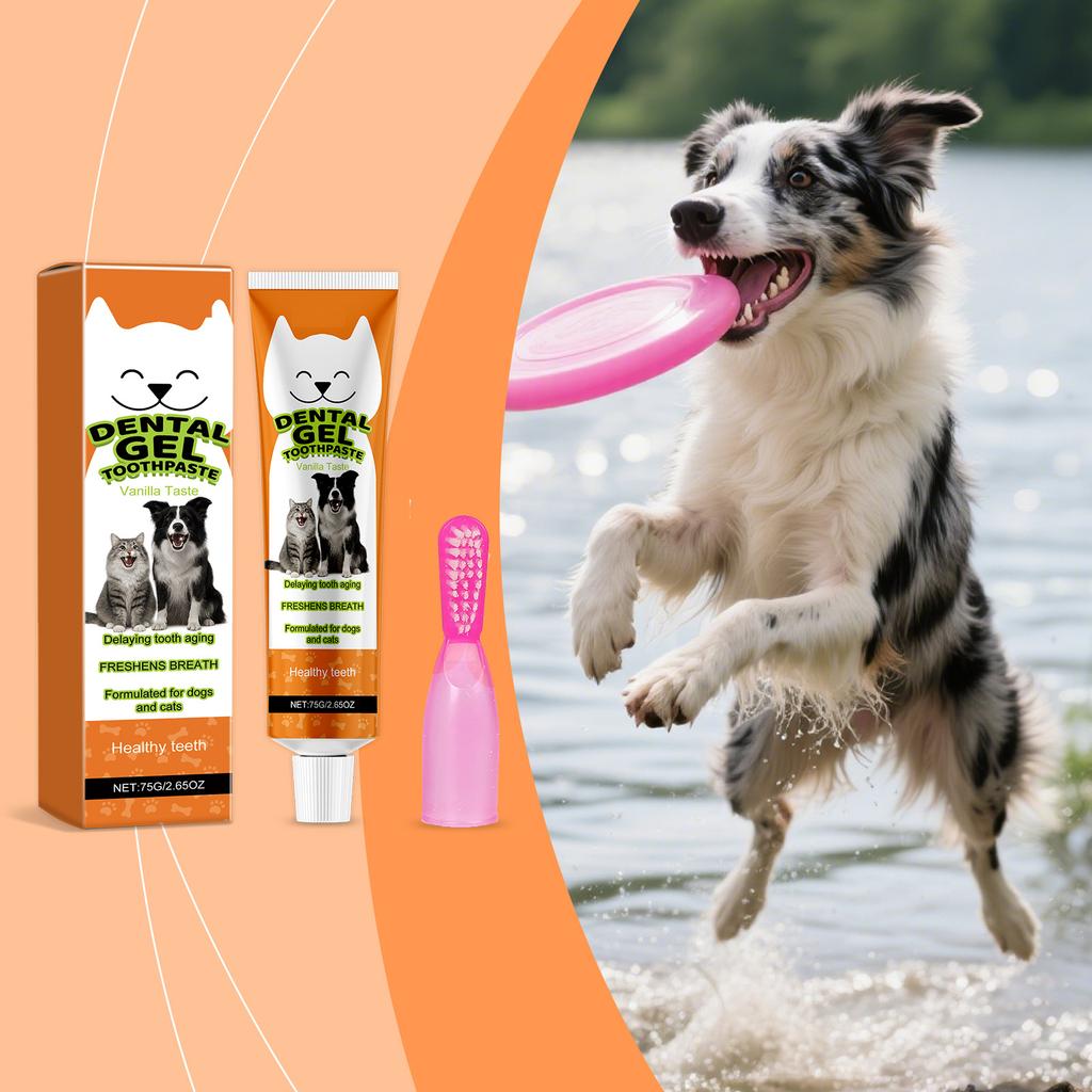 The Care Kit Contains A Three Sided Toothbrush And Natural Toothpaste To Reduce Plaque And Tartar Buildup