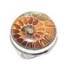 Ammonite Fossil Gemstone 925 Sterling Silver Jewelry Ring Size 8.5