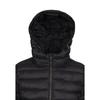 Womens/Ladies Dorothea Padded Jacket