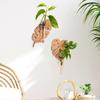 1PC Leaf Shape Home Decor Wall Planters Wall-Mounted Hanging Shelf Bohemian Wooden Plastic Tube Plant Hangers