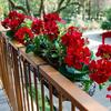 Artificial Begonias Flower Height 14Inch High Fade Resistant Artificial Flower For Wedding Bouquets Home Decoration