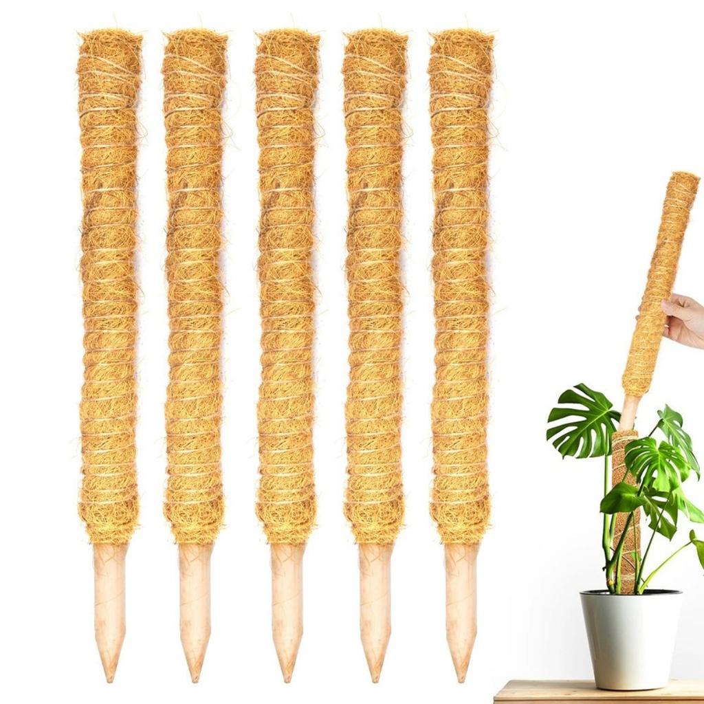 Monstera 30cm Moss Stick Plant Pole for Climbing Plants Coir Totem Plant Support for Indoor Potted Plants Train Creeper Plants Grow Upwards