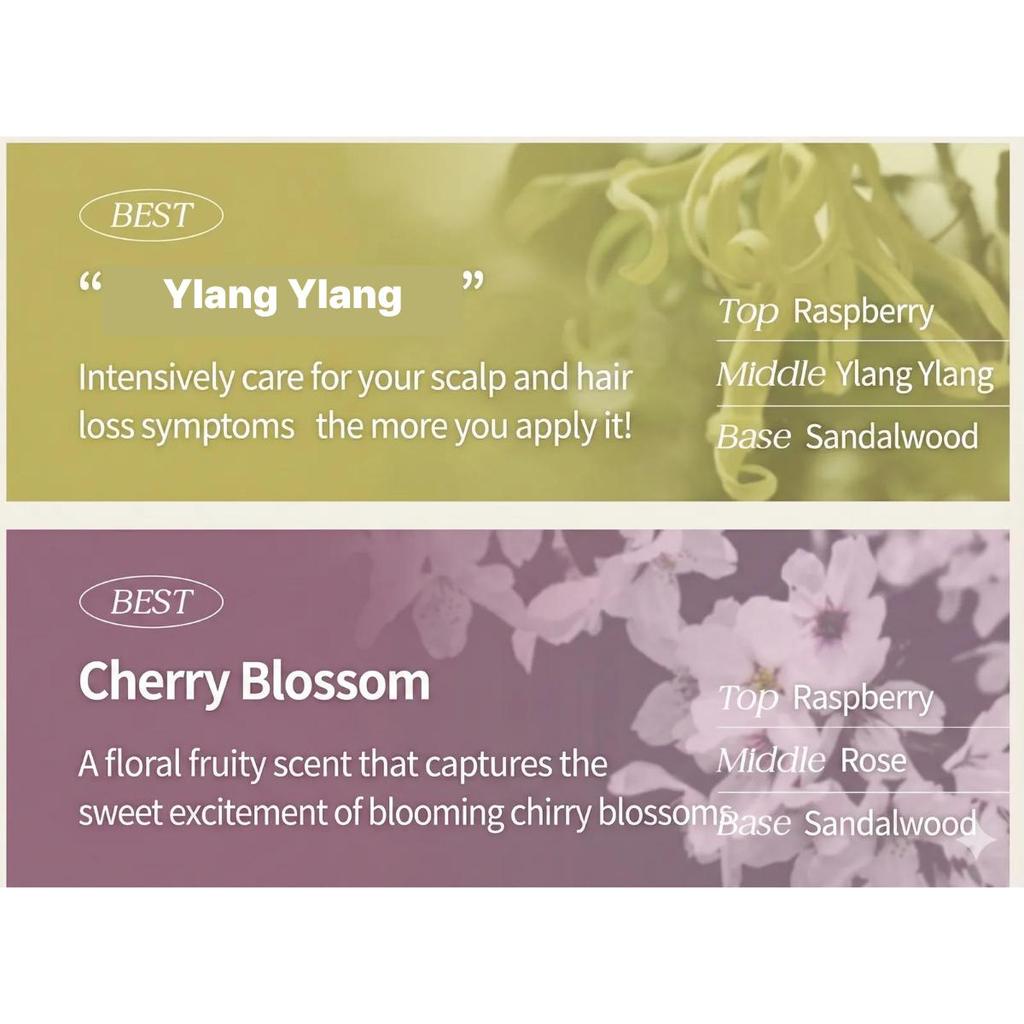 KUNDAL Набор Шампунь 500 мл + Кондиционер 500 мл Мед и Макадамия (4 варианта аромата)