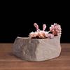 Stone Shape Succulent Plant Pots Wear Resistant Bonsai Potted Flowerpot  Home Decoration