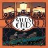 Wilds End Book One by Dan Abnett Paperback Book 9781608861590