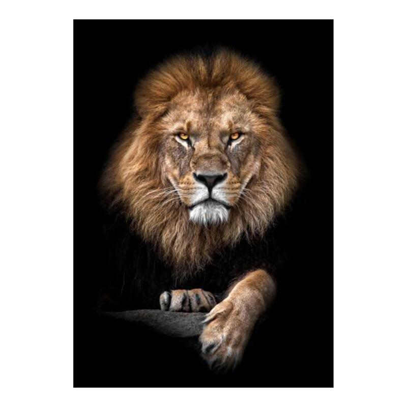 Дикие африканские львы в темноте, холст, картина на стене, художественные постеры и принты, черно-белые фотографии животных, домашний декор