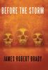 Книга Before the Storm
