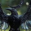 Ловец солнца Полумесяц Ворон Готический акриловый Ворон Ловец солнца Богемная подвеска на окно для дома, стены, крыльца