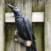 Crow Art Creative Resin Crafts Ornament Outdoor Courtyard Wall Hanging Art Sculpture