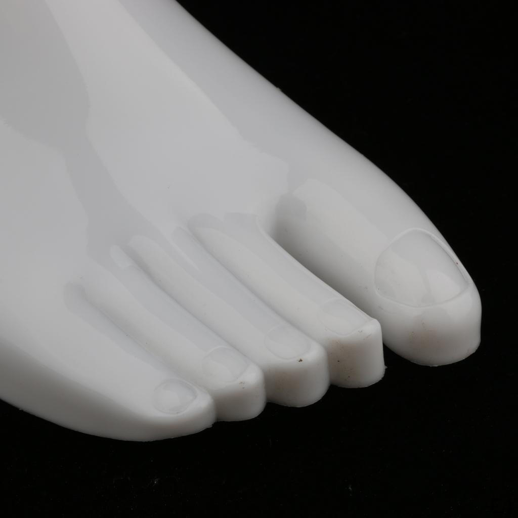 5Pcs Adult Foot Mannequin for Sock Display Female