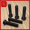 12.9 Grade High-Strength Blackened Hex Bolt M22-M48