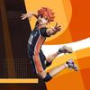 Официальная коллекция позирующих фигурок из аниме-сериала «Haikyu» размером 13 см!! -Шоё Хината — прибл.