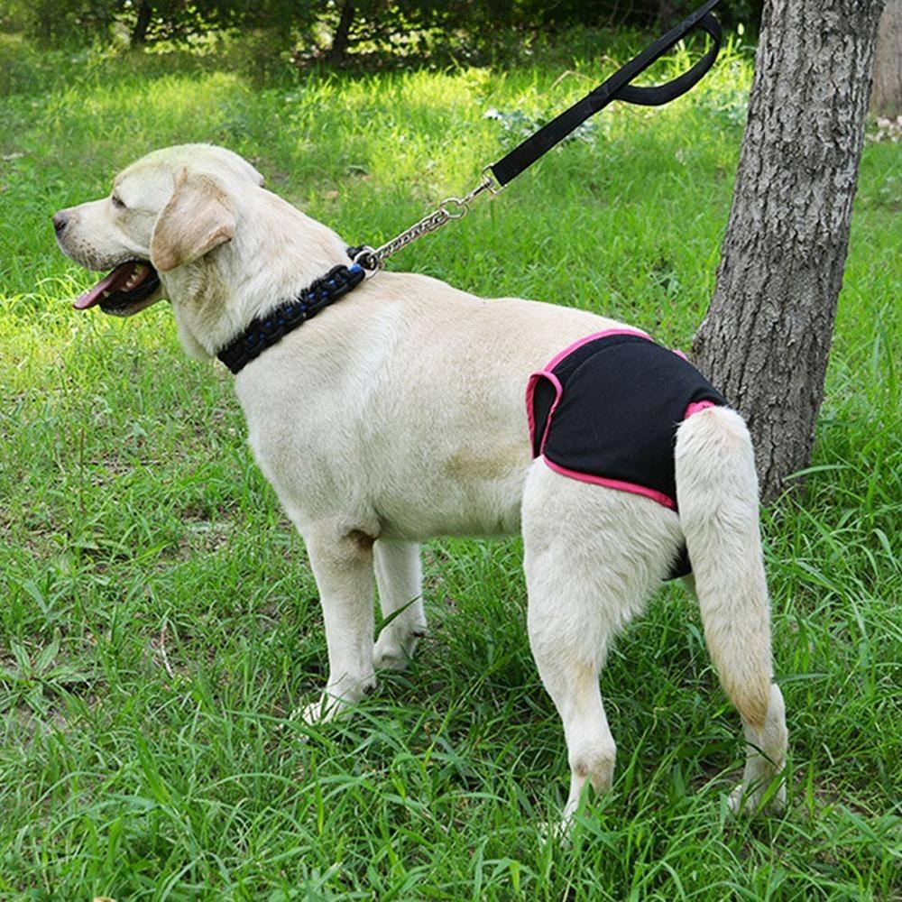 Soft Fabric Dog Sanitary Pant Adjustable Sticky Strap Pet Period Underwear Dog Estrus