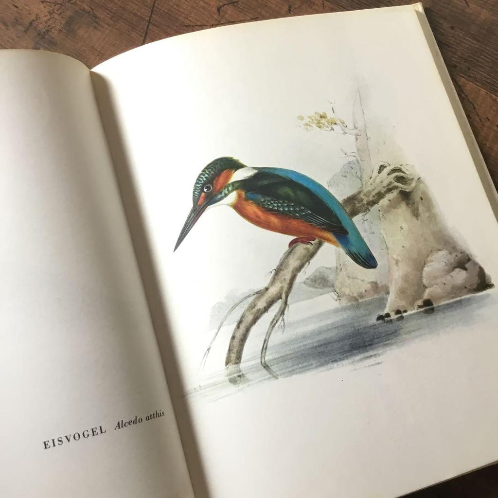 [Б/У] Иностранные книги, немецкие определители птиц, старые книги, винтажные книги