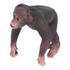 Animals Figures Gorilla Wild Animal Model Educational Children Toy Desktop Decoration