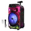 Колонка для вечеринок, оснащенная светодиодной подсветкой, перезаряжаемая, громкая, включает микрофон, корпус на 360 градусов, ручка, колеса, USB, microSD, портативная система TWS для улицы