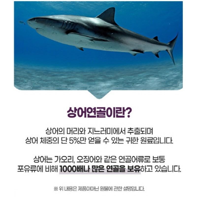 Акулий хрящ 100% комплекс хондроитинсульфата порошок таблетка 1512 мг, 60 таблеток, 1 штука