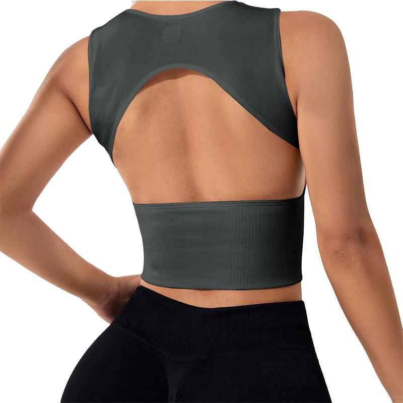 Women's Quick-Dry Seamless Yoga Top - Sleeveless, Sexy Sports Vest