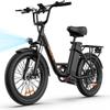 URLIFE E20 Multi Terrain Electric Bike For Adult 48V13Ah Battery 500W Motor Electric Bicycle 20 Inch Fat Tires City Riding E-bike