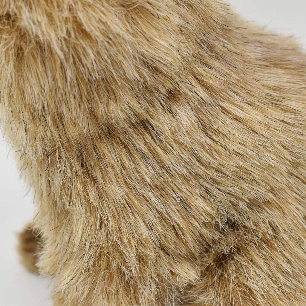 Pygmy Marmoset No.4688