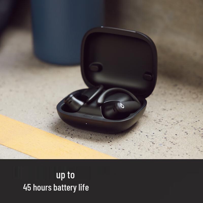 Beats Powerbeats Pro 2 True Wireless Sport Earbuds