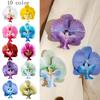 Spring And Summer Dopamine Color 3D Simulation Butterfly Orchid Brooches for Women Jewelry Fresh Travel And Vacation