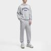 Fila Толстовка мужская серая меланжевая F11M349201F-MG