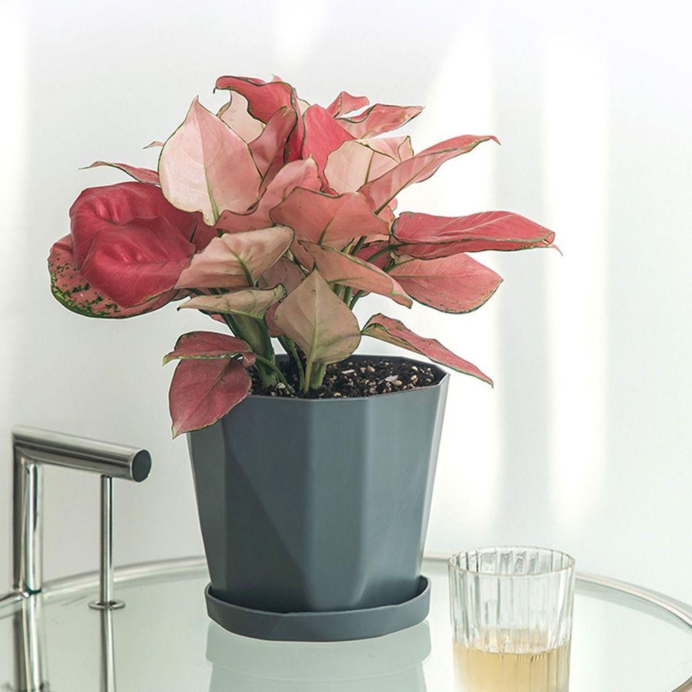 Including Liner Hydroponic Planter Self Watering Soil Flower Pot New Potted Flower Pot