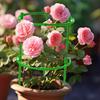 1pcs New Plant Support Pile Garden Flower Stand Cage Plant Grow Fixing Rod Vine Climbing Bracket Stake Holder Bonsai Tools