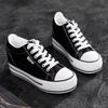 2025 Spring New Platform Canvas Shoes Women's Inner Height Increase Versatile Casual White Shoes Size 34 Korean Version of Muffin Board Shoes