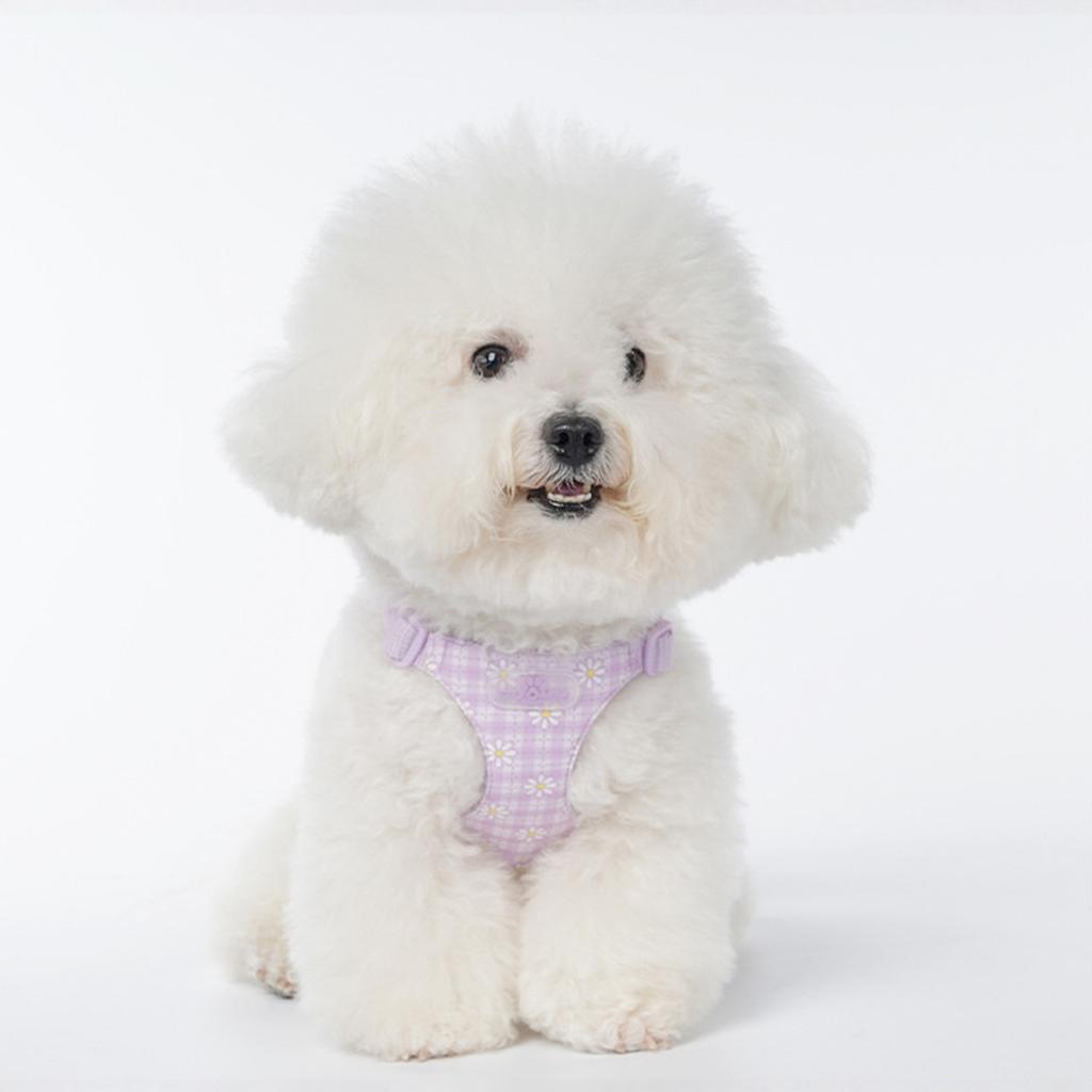 И Ко. Просто Собака Без Рывков - Размер Маленький - Жилет для Предотвращения Рывков и Легкой Прогулки - Удобное Средство для Обучения Поводку с