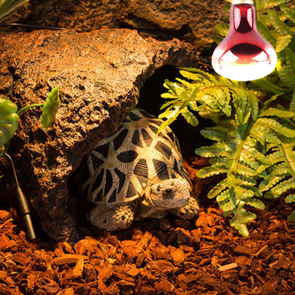 Reptile Lamp Night Infrared Heating Lamp Reptile Lizard Warming Insulating Bulb