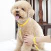 MAISON DE MIU Hands-Free Link Earth Full Set (Leash/Leash/Wrist Strap) Yellow