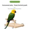 Parrot Climbing & Swing Toy Set for Budgies & Cockatiels