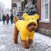 Thickened Warm Dog Winter Coat Soft Dog Cosplay Clothes Dog Jumpsuit Dog Pullover  Outdoor Wear