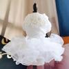 Pet Wedding Dress Eye-catching Wear Resistant Polyester Teddy Dog Lace Style Wedding Dress Pet Apparel for Outdoor