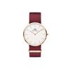 Daniel Wellington Classic 40 Roselyn RG White Watch, DW00100267, Men's, Red