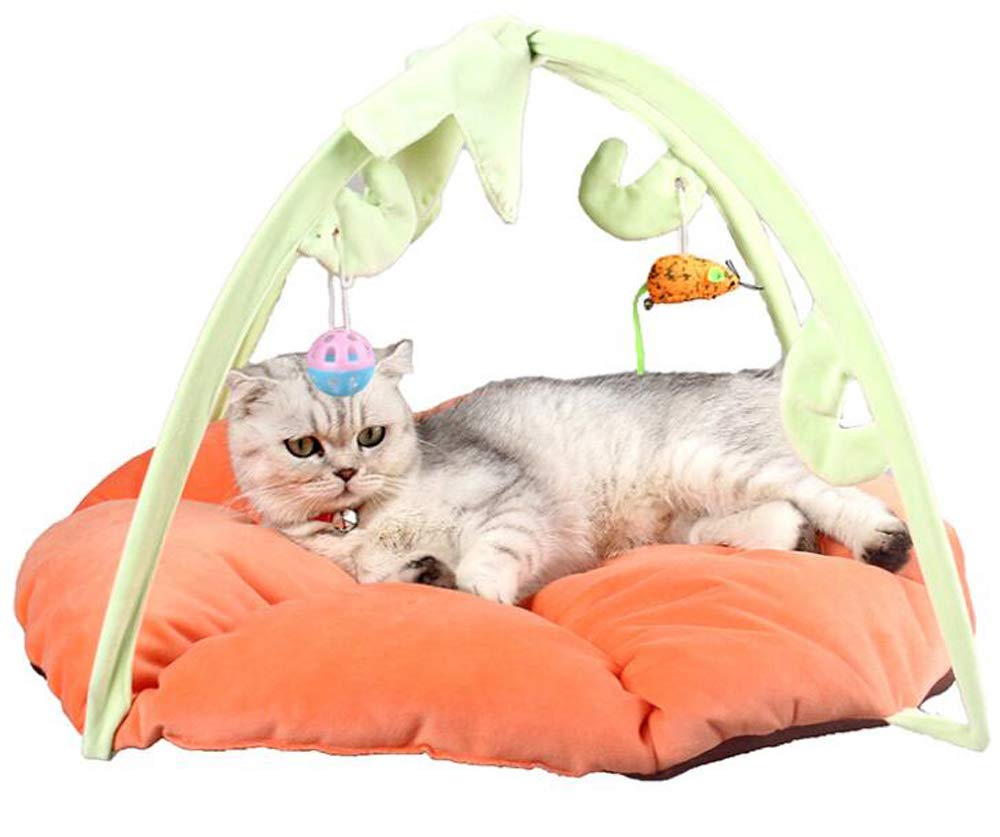 HJ Dog and Cat Pet Cat для маленьких кошек с купольным домиком, сохраняющим тепло, кровать, палатка, кровать, собаки, игрушки, коврик, пушистый, теплый, зимний, милый, (оранжевый)