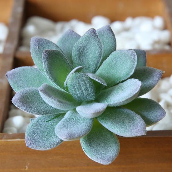 1шт пластиковые поддельные искусственные суккуленты растение бонсай сад домашний офис декор