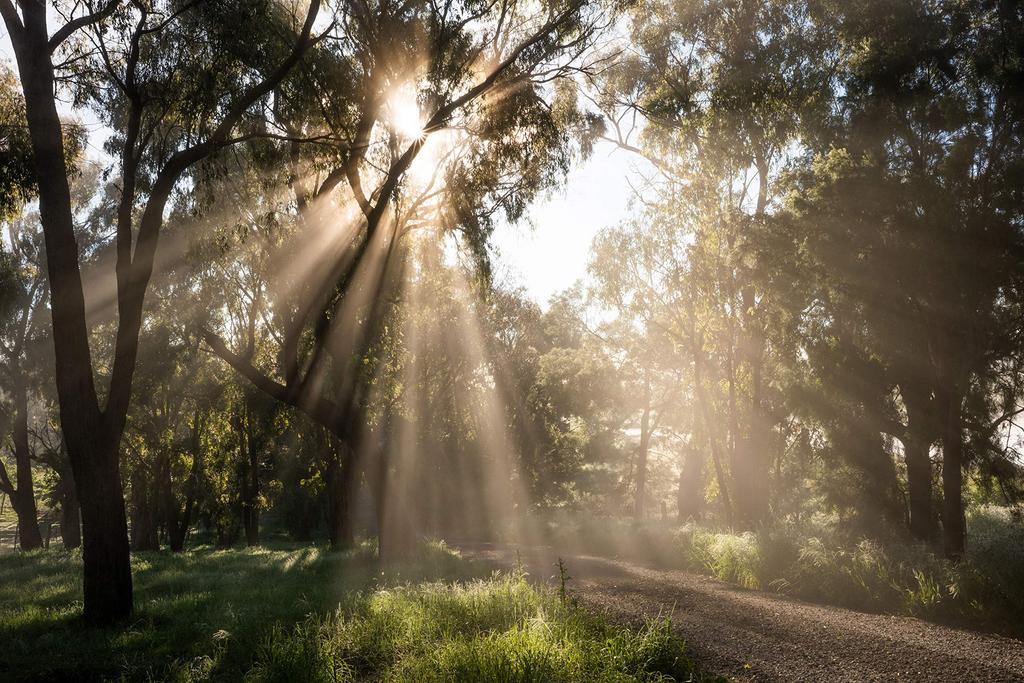 Tamron 35mm Di III OSD Mount Lens Size Mirrorless F/2.8 M12 (Model F053) FE (full Compatible) 35F/2.8DI3OSDF053